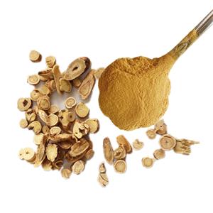黄芪提取物,Astragalus Extract Powder