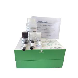 酸性木聚糖酶(ACX)测定试剂盒/分光光度法/24样,ACX ELISA KIT