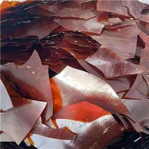 虫胶片,unspecified