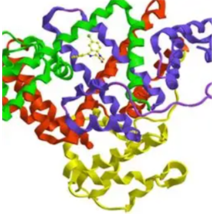 Vitmin B12-BSA Conjugate，维生素B12-牛血清白蛋白偶联物
