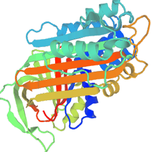 Cholic Acid-Ovalbumin Conjugate，鸡卵清蛋白-胆酸偶联物