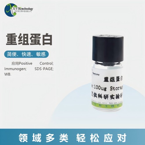 Recombinant 11-Beta-Hydroxysteroid Dehydrogenase Type 1 (HSD11b1)