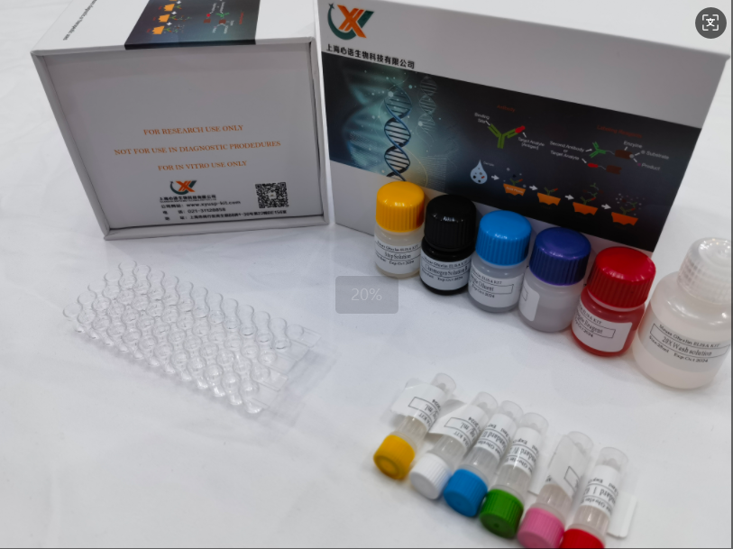 兔白细胞介素26（IL-26）elisa试剂盒