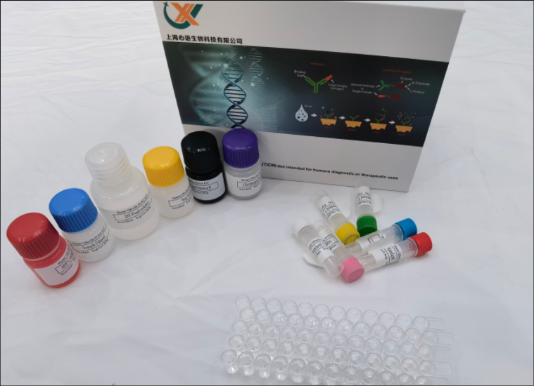 兔血栓素（TX）elisa试剂盒