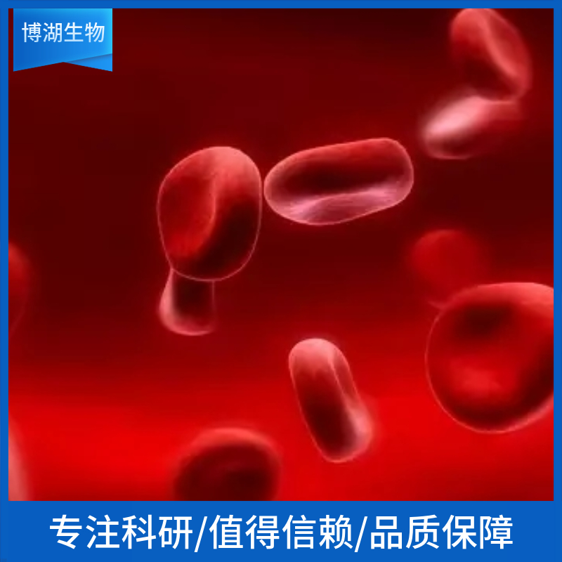 LC-2/ad人肺癌腺癌细胞,LTEP-a-2 Human Lung Adenocarcinoma Cells