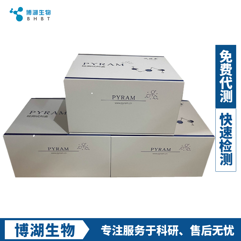 大鼠ECM1elisa试剂盒,RatECM1 ELISA Kit