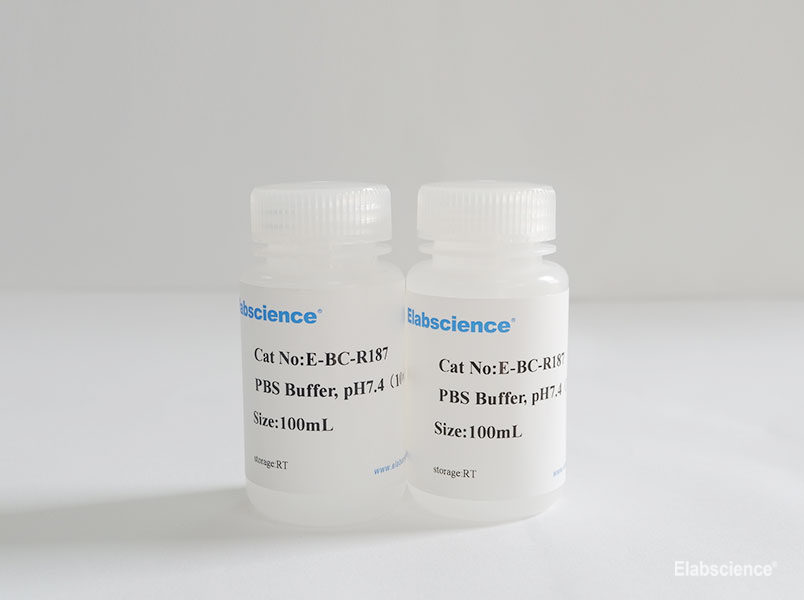 Elabscience 5× SDS上样缓冲液-E-BC-R288,5× SDS Loading Buffer