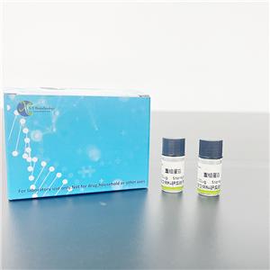 Recombinant 11-Beta-Hydroxysteroid Dehydrogenase Type 1 (HSD11b1)