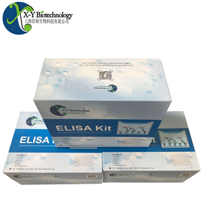 人BDH1(D-β-羟丁酸脱氢酶，线粒体)ELISA试剂盒,​Human BDH1 ELISA Kit