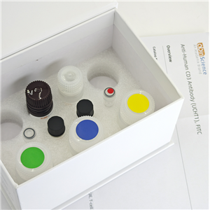 重组Human GIP 蛋白, N-His,Recombinant Human GIP Protein, N-His