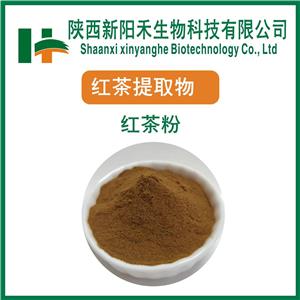 红茶粉      红茶提取物