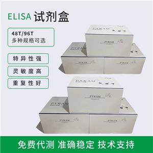 人HSP70elisa试剂盒,Human HSP70 ELISA Kit