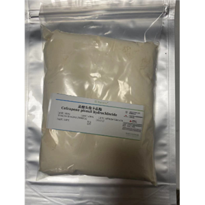 盐酸头孢卡品酯