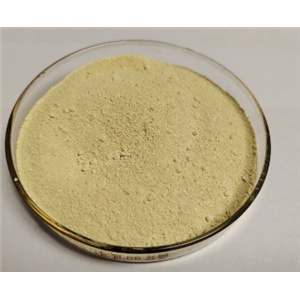 硝羟喹啉,Nitroxoline