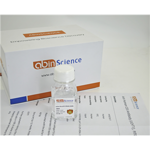 抗HeV/NiV Glycoprotein G 抗体 (HENV-2)（一抗）