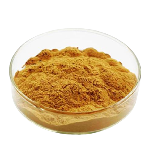 虫草素,Cordycepin