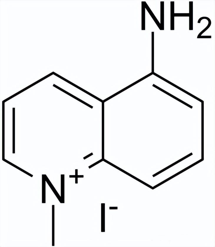 5-氨基-1-甲基喹啉-1-鎓碘化物,5-amino-1mq