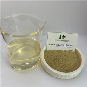 猴头菇提取物,Hericium erinaceus Extract