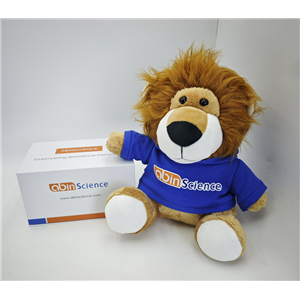 抗Human parvovirus B19/HPV-B19 VP2/Viral protein 2 抗体 (ABS1817)（一抗）,Anti-Human parvovirus B19/HPV-B19 VP2/Viral protein 2 Antibody ABS1817