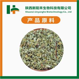 达米阿那提取物,Damiana extract Extract
