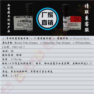 α-多功能葡萄糖苷酶；α-D-葡萄糖苷酶；α-葡糖苷酶,α-Glucosidase/Maltase