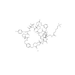 氯化恩利昔单抗