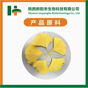 银杏叶提取物,Ginkgo biloba leaf extract