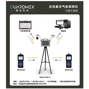 伽安科技—手提泵吸式复合气体分析仪—移动式多合一气体检测仪