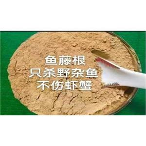 鱼藤粉,Rattan root powder