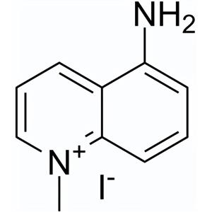 5-氨基-1-甲基喹啉-1-鎓碘化物，5-amino-1mq，NNMTi，42464-96-0