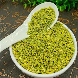 槐米提取物,Sophora Japonica Extract