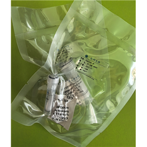 线粒体衍生肽SHLP-3,SHLP-3