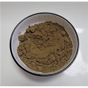 筋骨草提取物,Ginseng extract