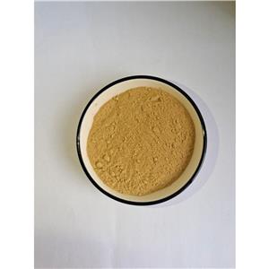 绿咖啡豆提取物,Green Coffee Bean Extract