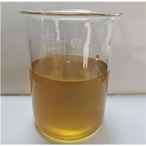 苦瓜提取物,Bitter Melon P.E.