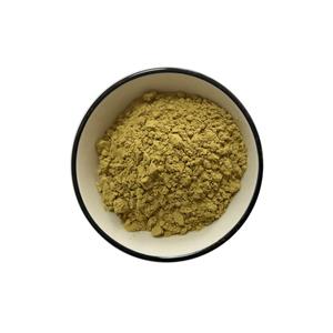槐米提取物,Sophora Japonica Extract