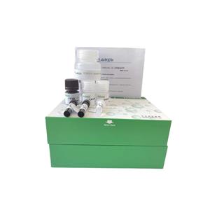 土壤焦磷酸酶(S-PPase)试剂盒分光法/24样,S-PPase ELISA KIT