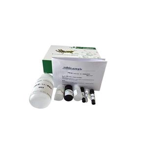 土壤β-半乳糖苷酶(S-β-GAL)试剂盒分光法/24样,S-β-GAL ELISA KIT