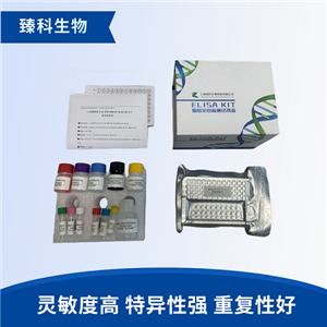 人弹性蛋白(elastin）检测试剂盒（ELISA法）