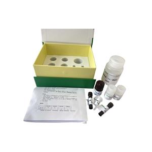 6-磷酸葡萄糖胺合成酶(GlmS)/6-磷酸果糖谷氨酰胺氨基转移酶(GFAT)试剂盒分光法/24样,GFAT ELISA KIT