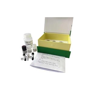 土壤荧光素二乙酸酯(FDA)水解酶测定试剂盒/微量法/48S