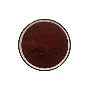 葡萄籽提取物,Grape seed extract