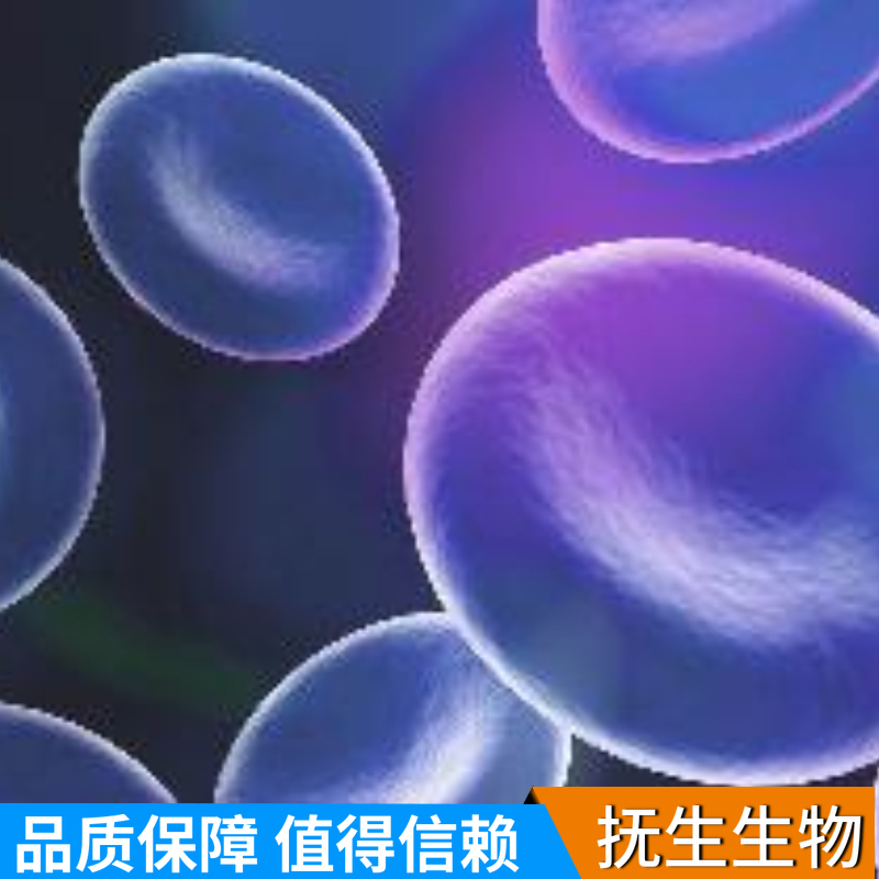 人结肠直肠腺癌细胞；SW1417,SW1417