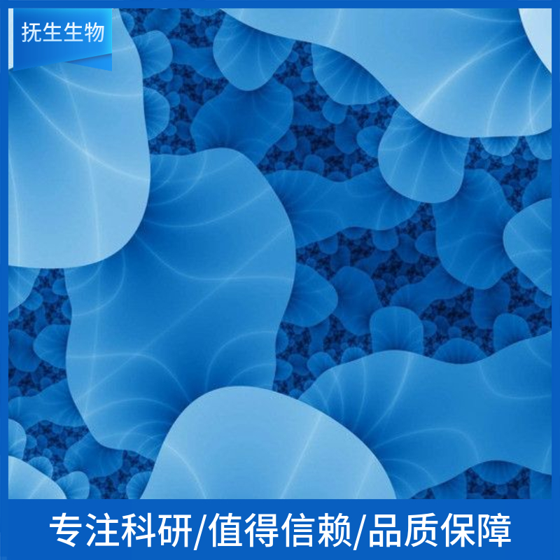 Daudi人淋巴癌细胞,Daudi:Daudi