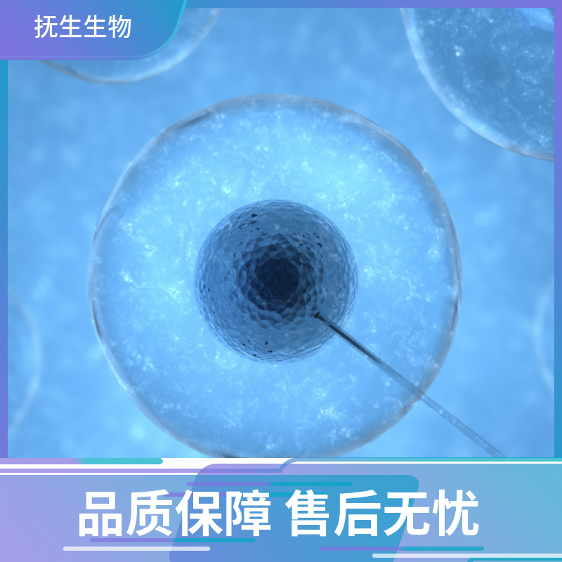 CCRF-CEM人白血病细胞,CCRFCEM:CCRF-CEM