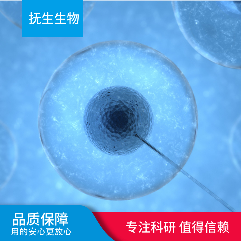 HEPA1-6小鼠肝癌细胞,HEPA16:HEPA1-6