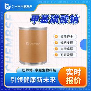 甲基磺酸钠,SODIUM METHANESULFONATE