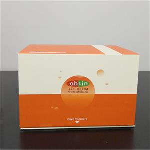 小鼠 IL-2 ELISA 试剂盒