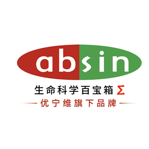 小鼠 IL-12 p70 ELISA 试剂盒,Mouse IL-12 p70 ELISA Kit