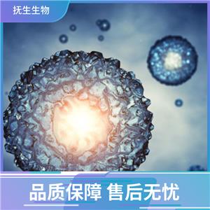 CFPAC-1人胰腺导管腺癌细胞